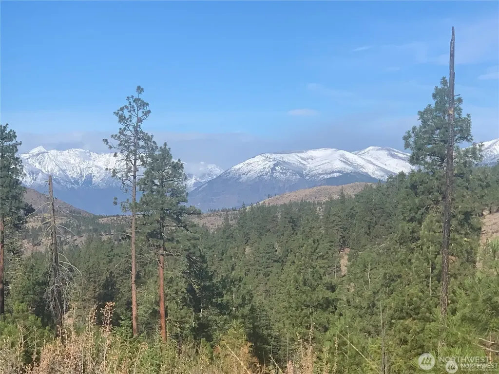 0 Cooper Mountain Road Manson WA 98831