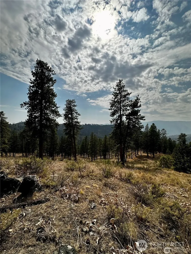 0 Cooper Mountain Road Manson WA 98831