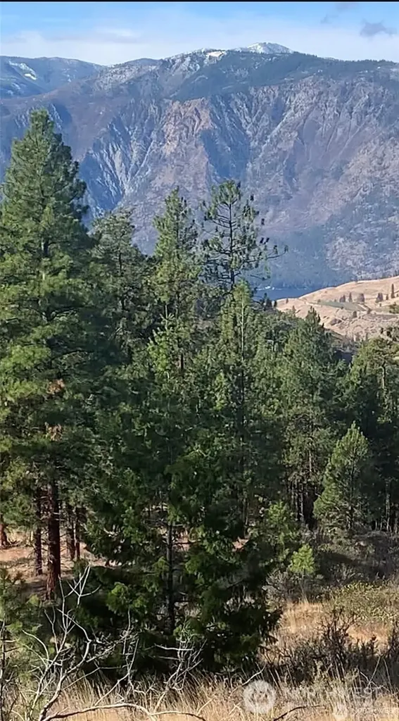 0 Cooper Mountain Road Manson WA 98831