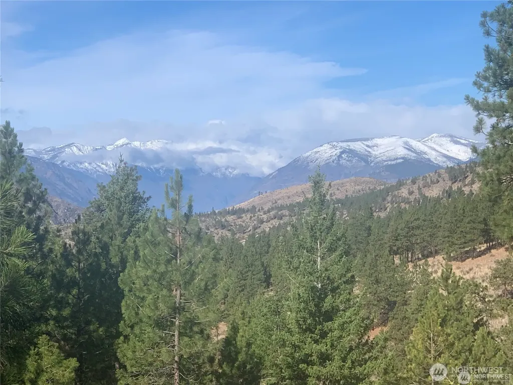 0 Cooper Mountain Road Manson WA 98831