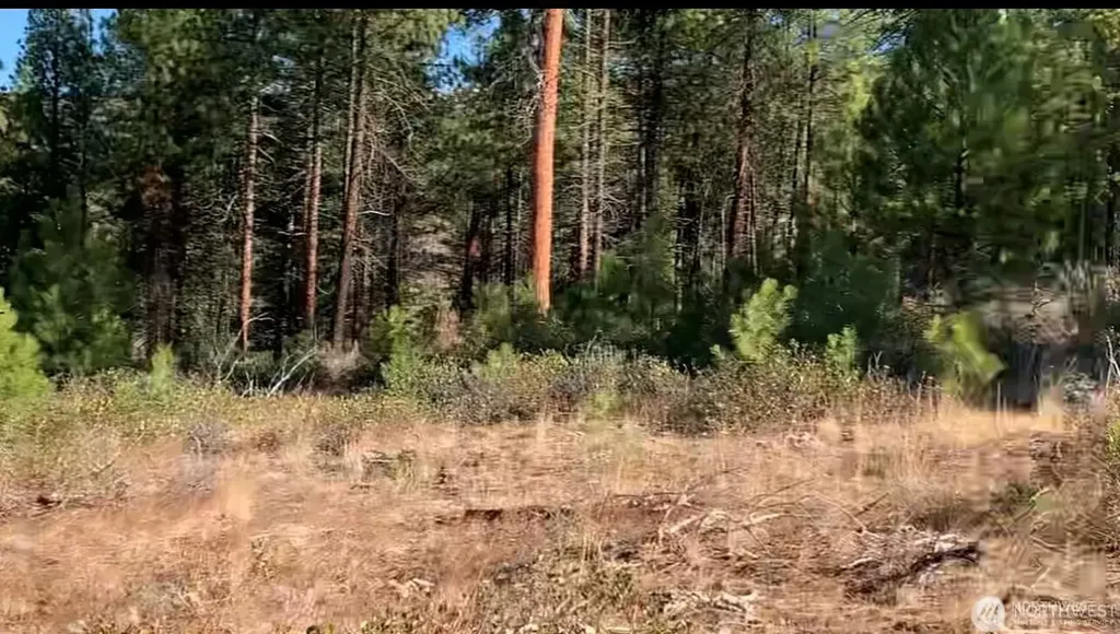 0 Cooper Mountain Road Manson WA 98831
