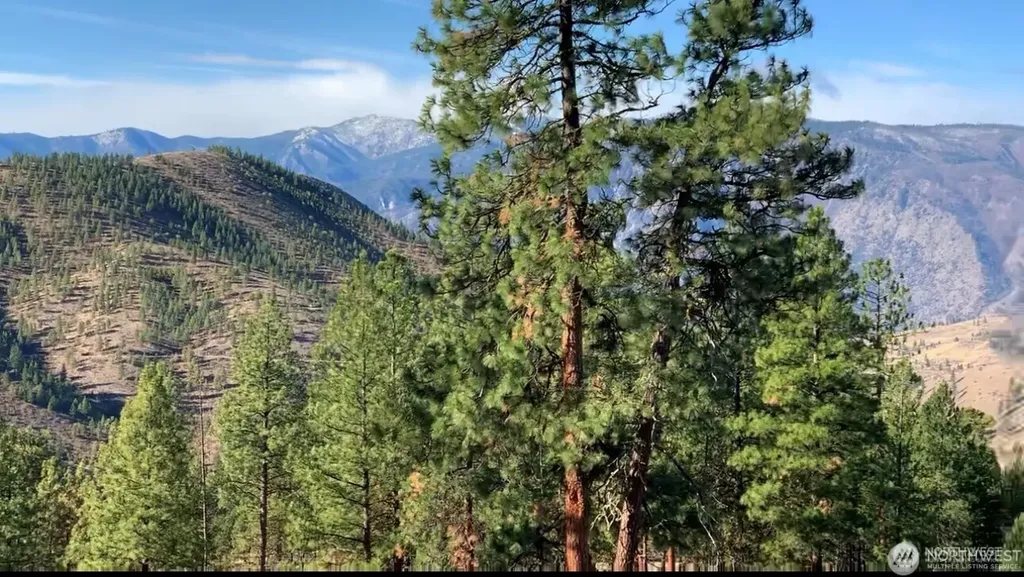 0 Cooper Mountain Road Manson WA 98831