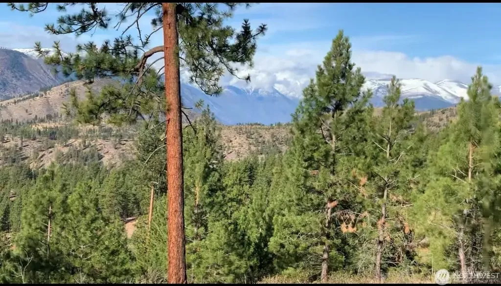 0 Cooper Mountain Road Manson WA 98831