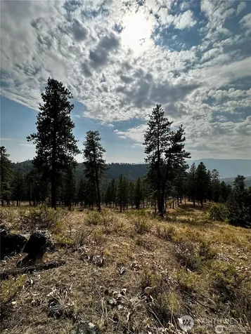 0 Cooper Mountain Road Manson WA 98831