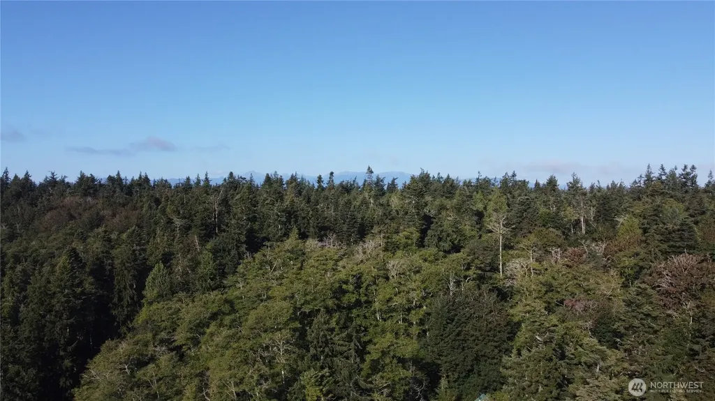 111 Seven Sisters Beach Port Ludlow WA 98358