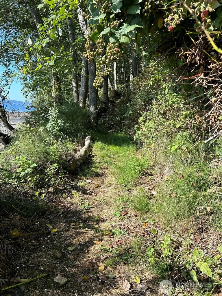 111 Seven Sisters Beach Port Ludlow WA 98358