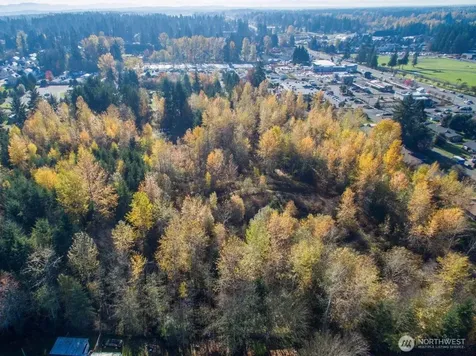 10313 136th Street E Puyallup WA 98374
