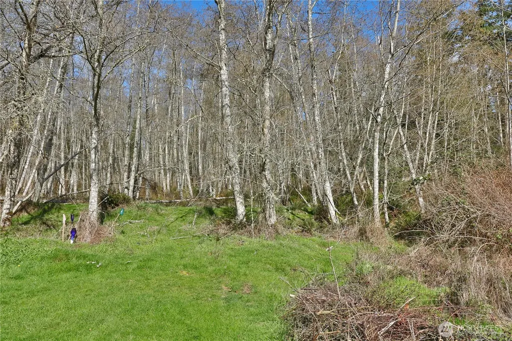 401 Gramayre Road Coupeville WA 98239
