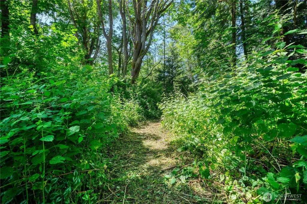 6 South Beach Road Point Roberts WA 98281