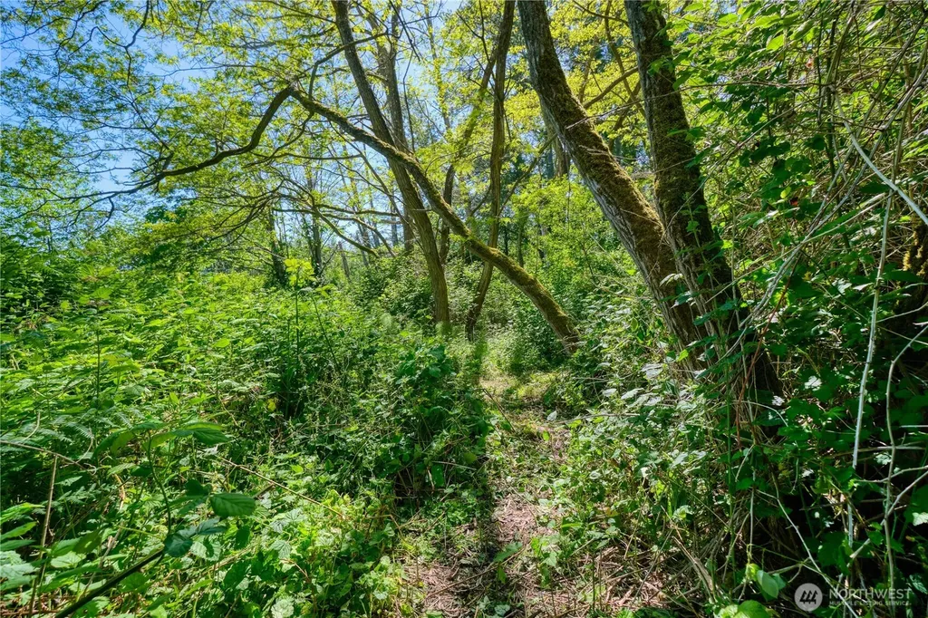 6 South Beach Road Point Roberts WA 98281