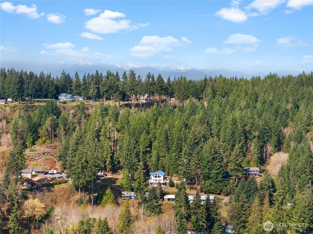 100 NE Alta Vista Drive Belfair WA 98528