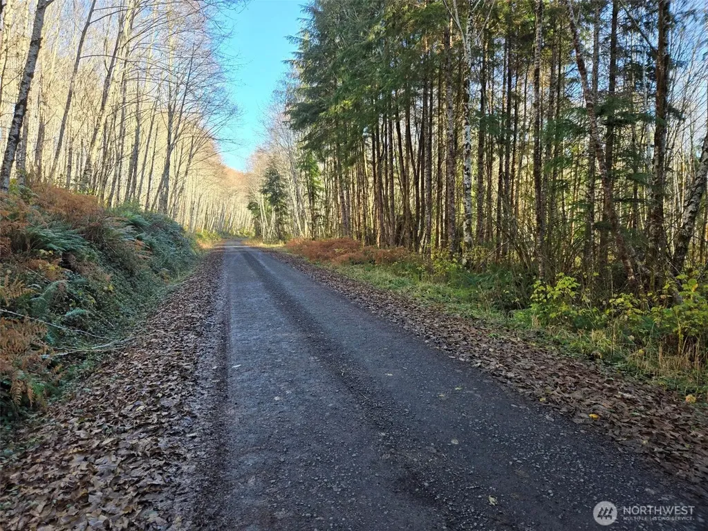 0 Fall River Road Cosmopolis WA 98537