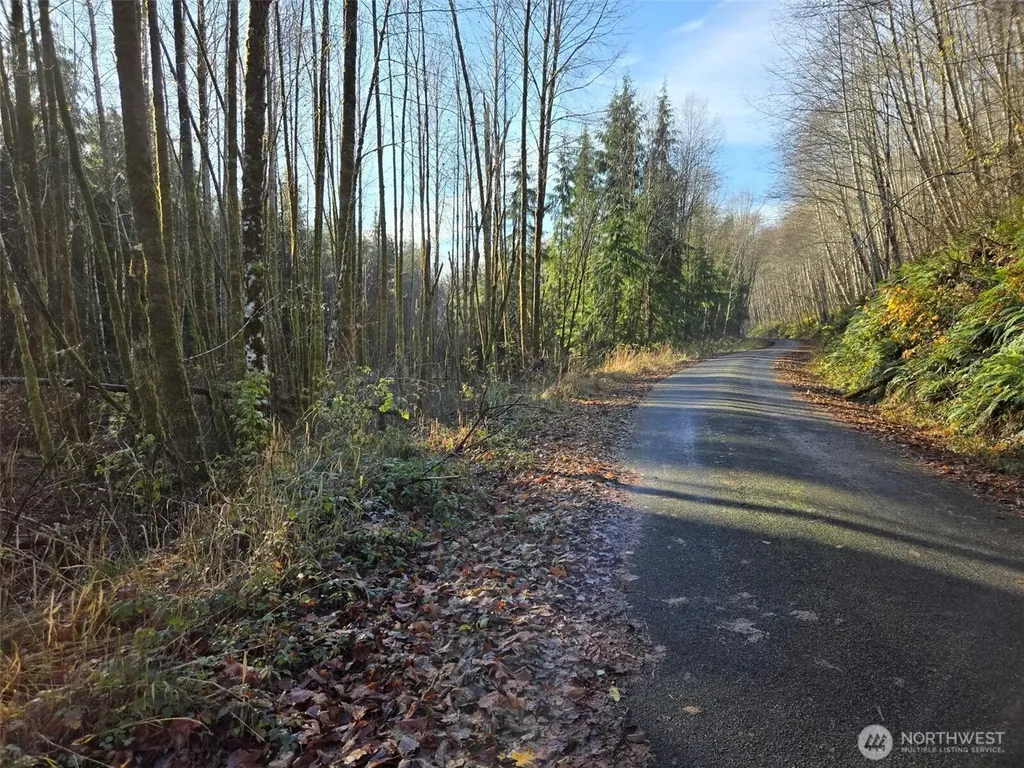 0 Fall River Road Cosmopolis WA 98537