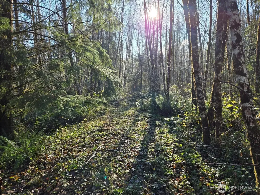 0 Fall River Road Cosmopolis WA 98537