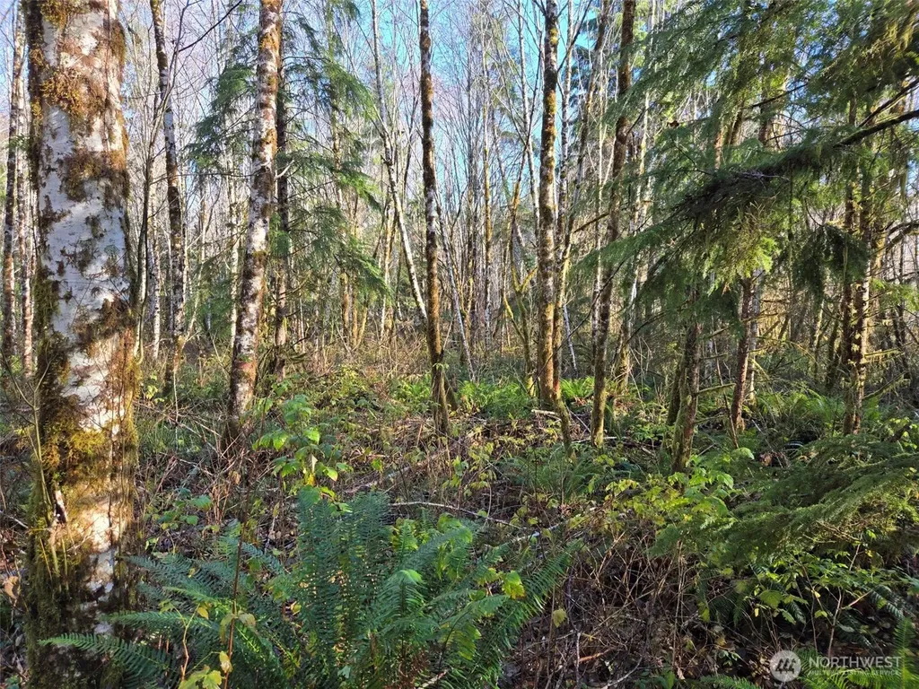 0 Fall River Road Cosmopolis WA 98537