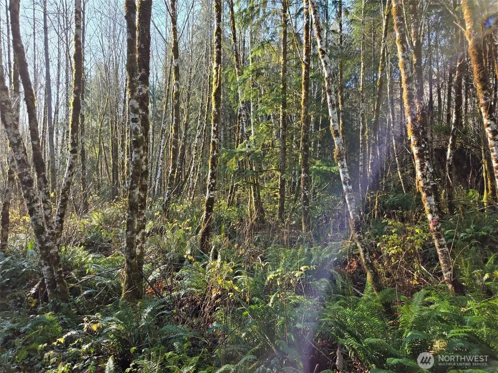 0 Fall River Road Cosmopolis WA 98537