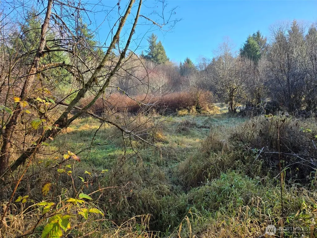 0 Fall River Road Cosmopolis WA 98537