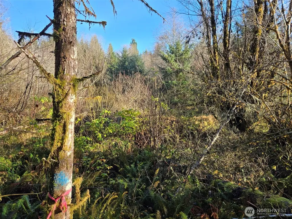 0 Fall River Road Cosmopolis WA 98537
