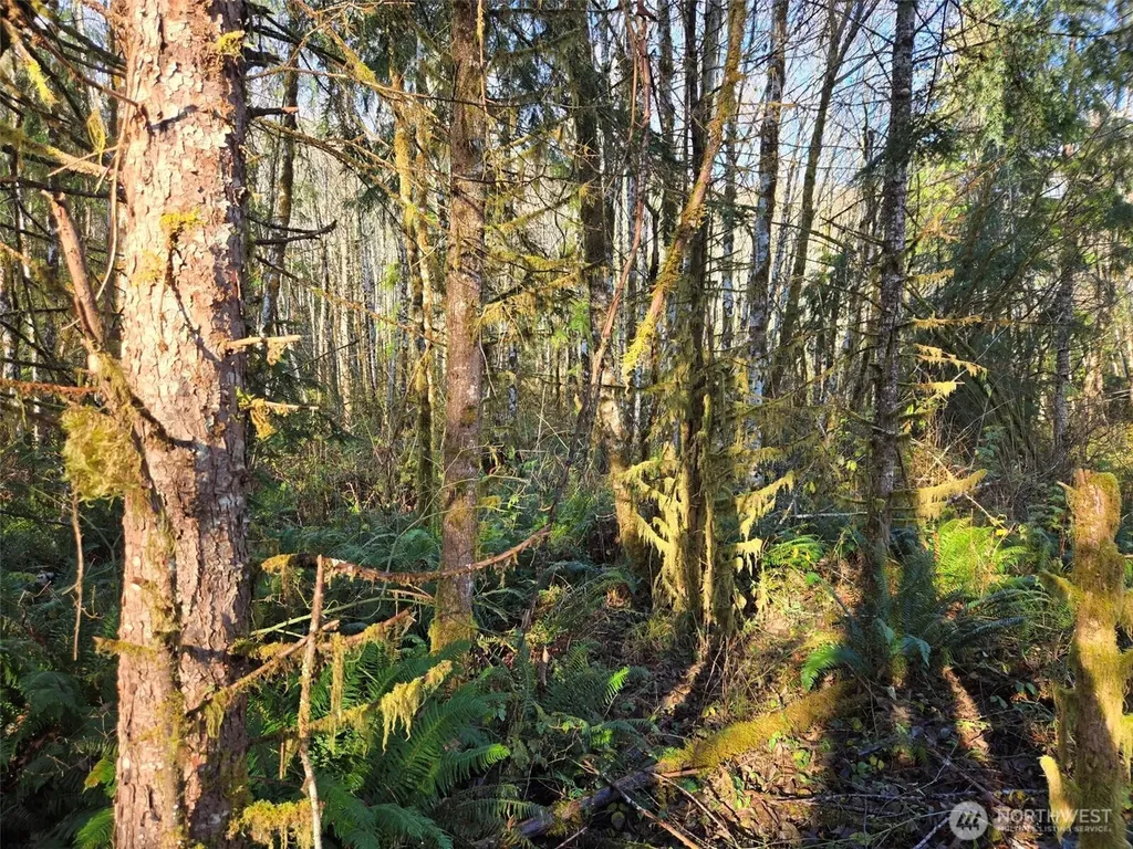 0 Fall River Road Cosmopolis WA 98537