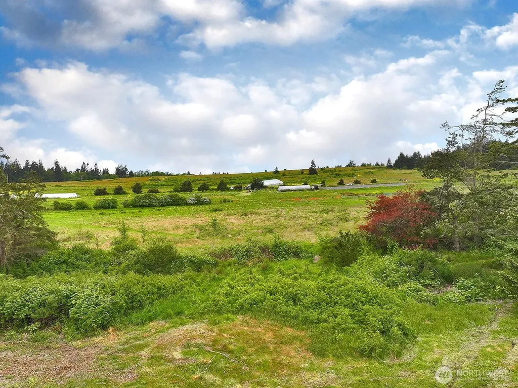 0 E Farmington Drive Greenbank WA 98253