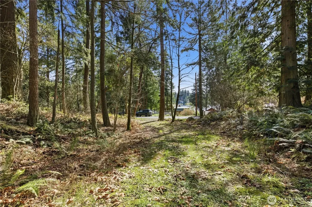0 Clear Lake Road N Eatonville WA 98328
