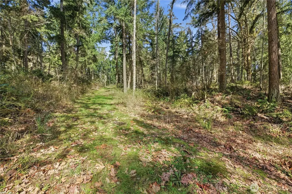 0 Clear Lake Road N Eatonville WA 98328