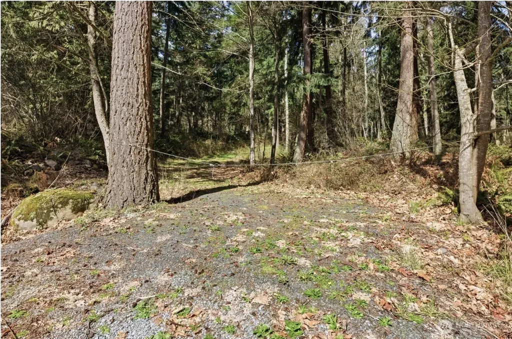 0 Clear Lake Road N Eatonville WA 98328