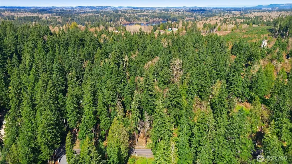 0 Clear Lake Road N Eatonville WA 98328