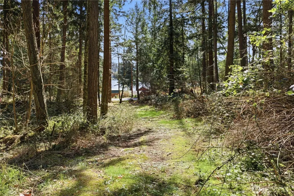 0 Clear Lake Road N Eatonville WA 98328