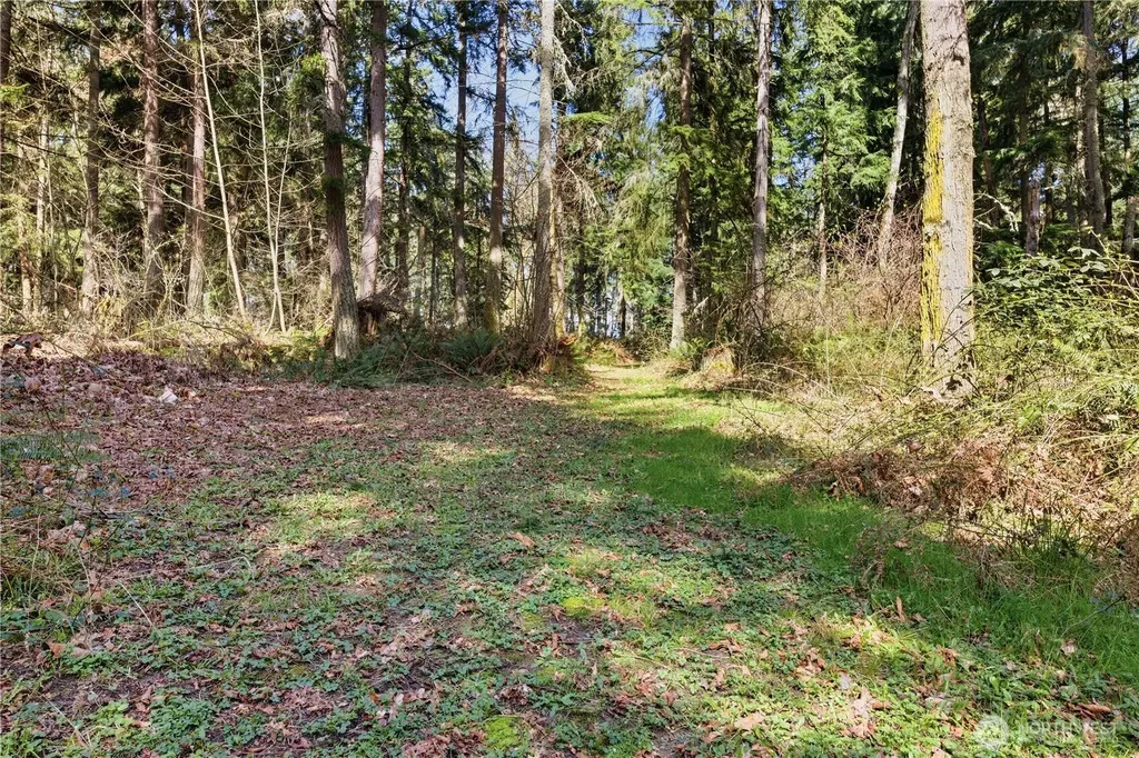 0 Clear Lake Road N Eatonville WA 98328