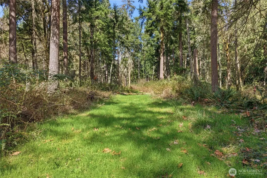 0 Clear Lake Road N Eatonville WA 98328