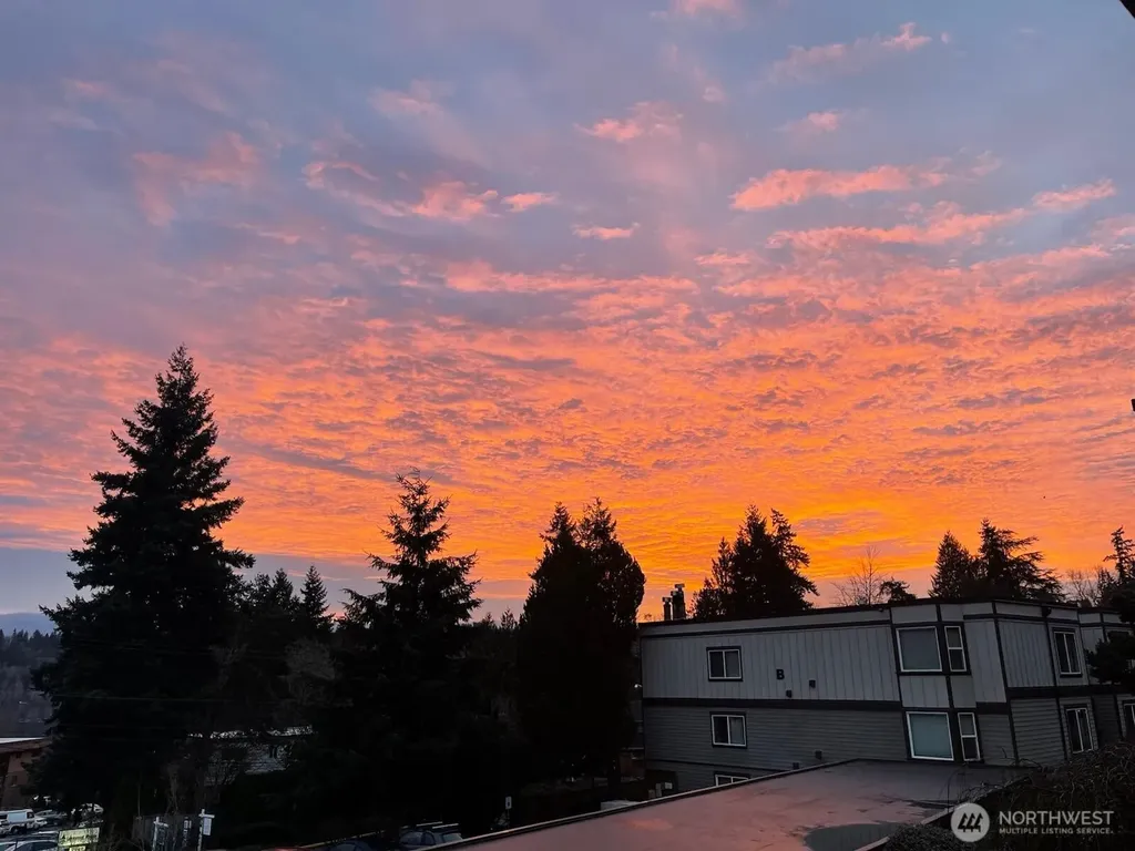 17440 NE 38th Street Redmond WA 98052