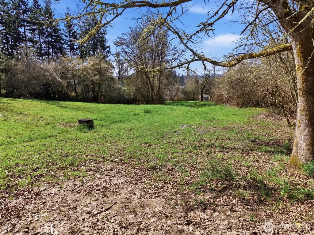 0 Jackson Highway Chehalis WA 98532