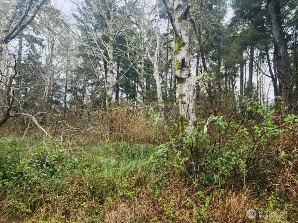 670 Weatherwax Loop NE Ocean Shores WA 98569