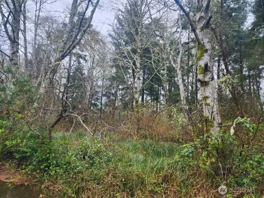 670 Weatherwax Loop NE Ocean Shores WA 98569