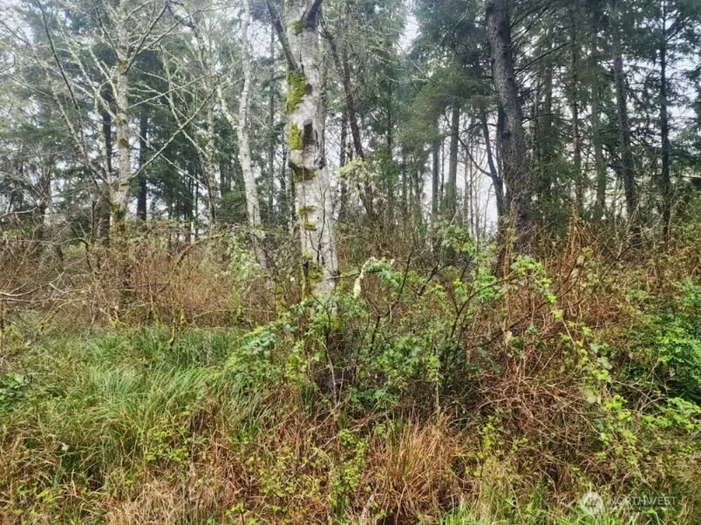 670 Weatherwax Loop NE Ocean Shores WA 98569