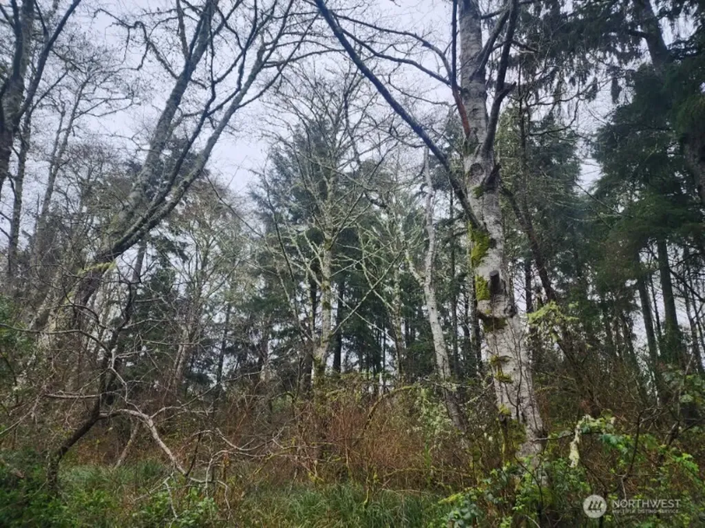 670 Weatherwax Loop NE Ocean Shores WA 98569