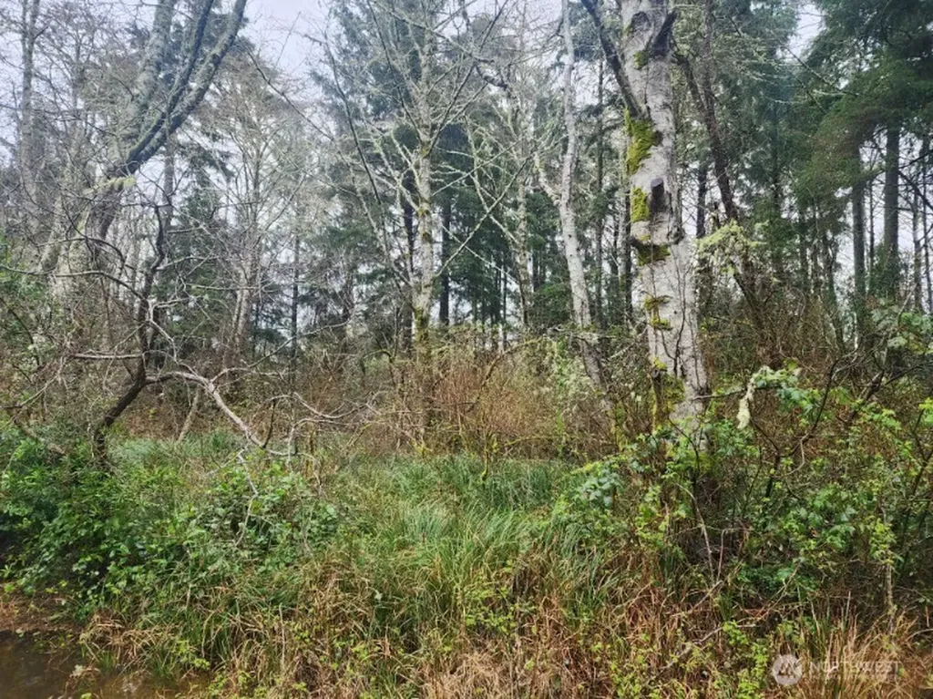 670 Weatherwax Loop NE Ocean Shores WA 98569