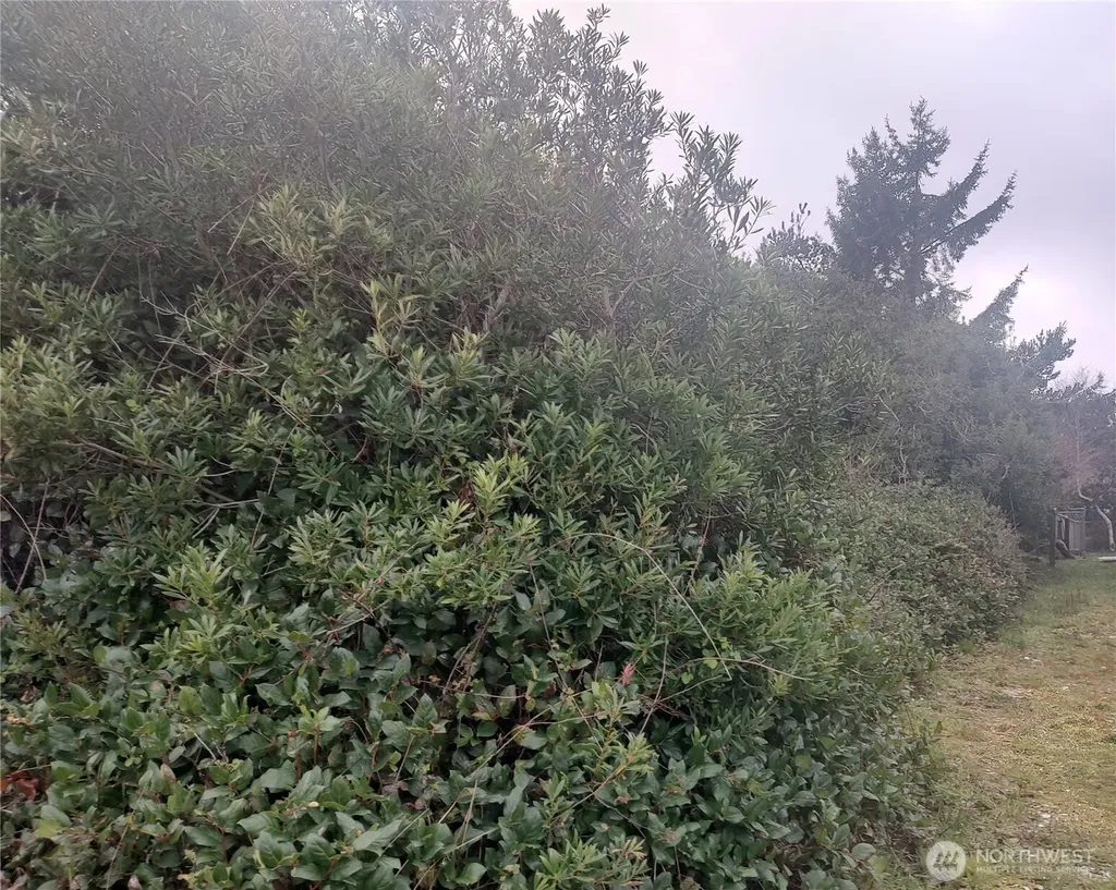 601 Ocean Shores Boulevard SW Ocean Shores WA 98569