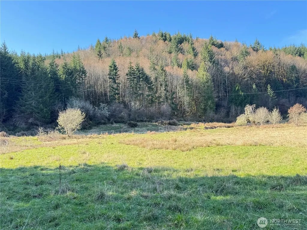 0 Harkum Road Chehalis WA 98532