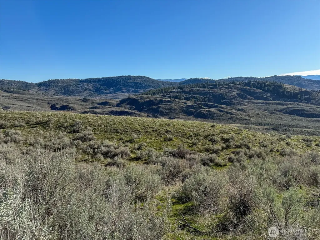 0 Lower White Rock Road Oroville WA 98844