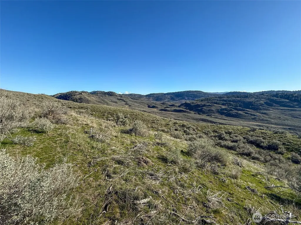 0 Lower White Rock Road Oroville WA 98844