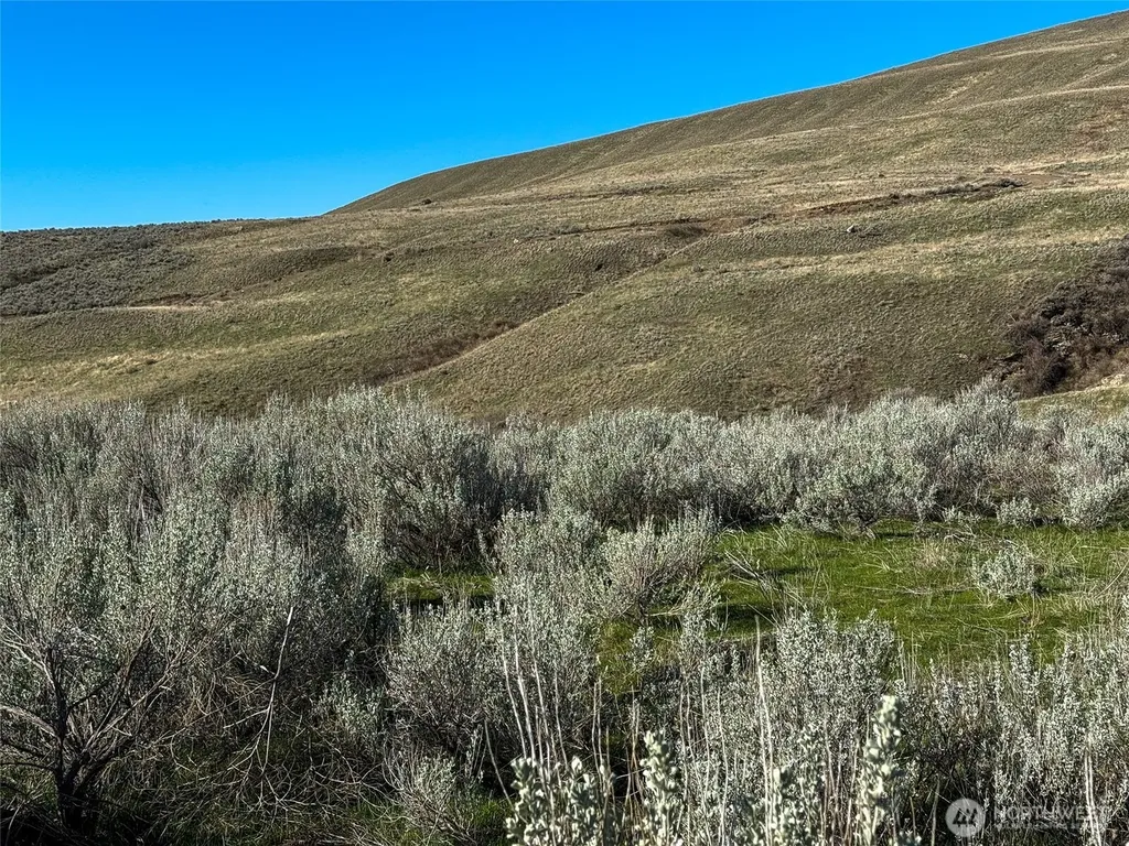 0 Lower White Rock Road Oroville WA 98844