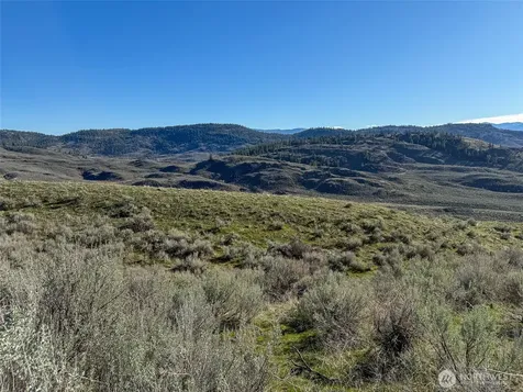 0 Lower White Rock Road Oroville WA 98844