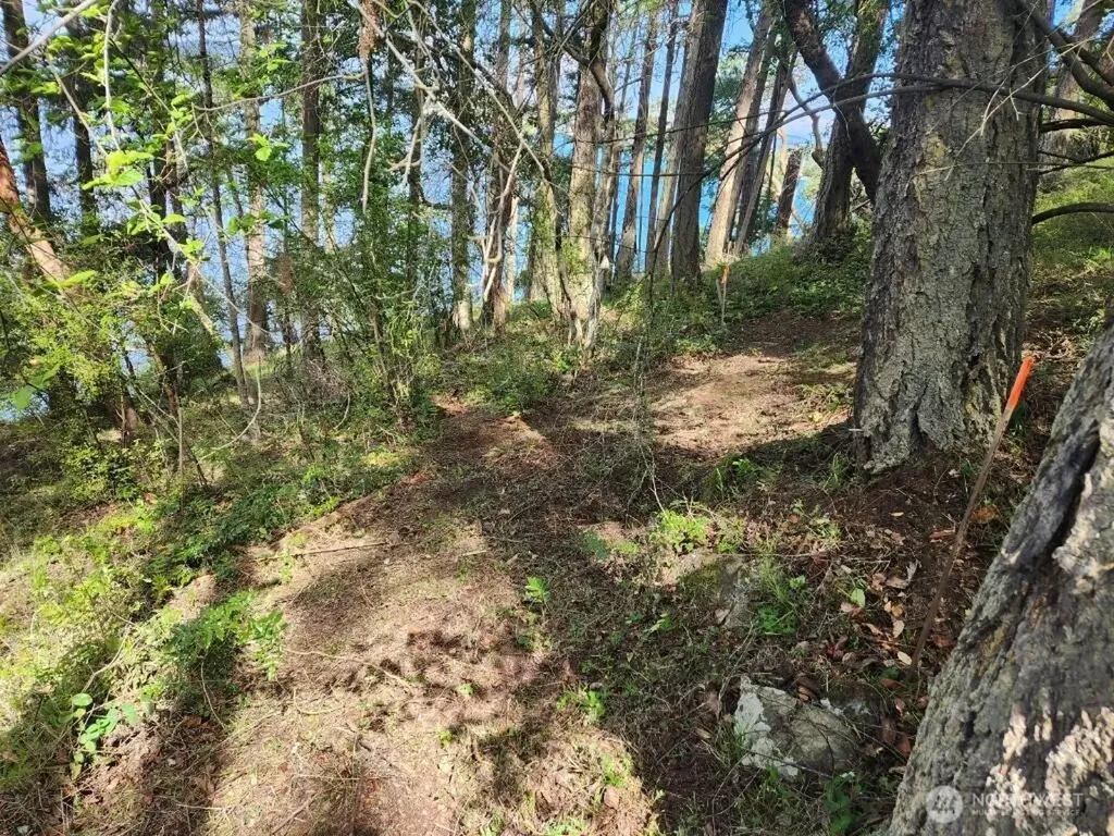 0 Fern Place Friday Harbor WA 98250