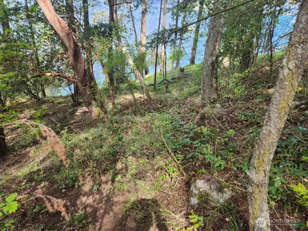 0 Fern Place Friday Harbor WA 98250