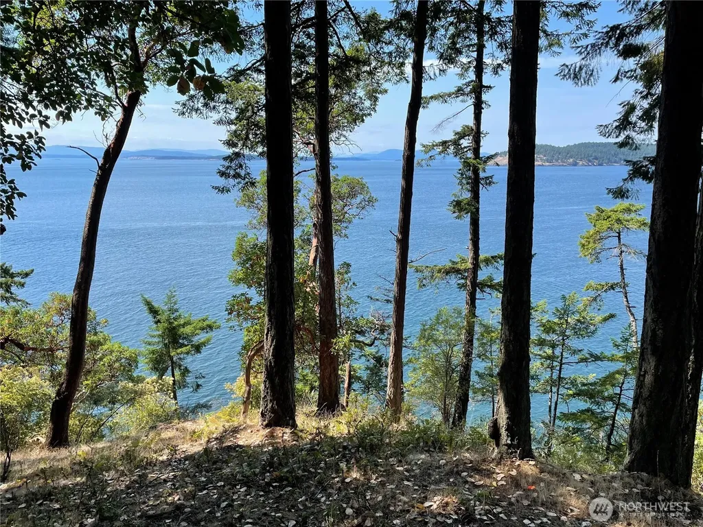 0 Fern Place Friday Harbor WA 98250