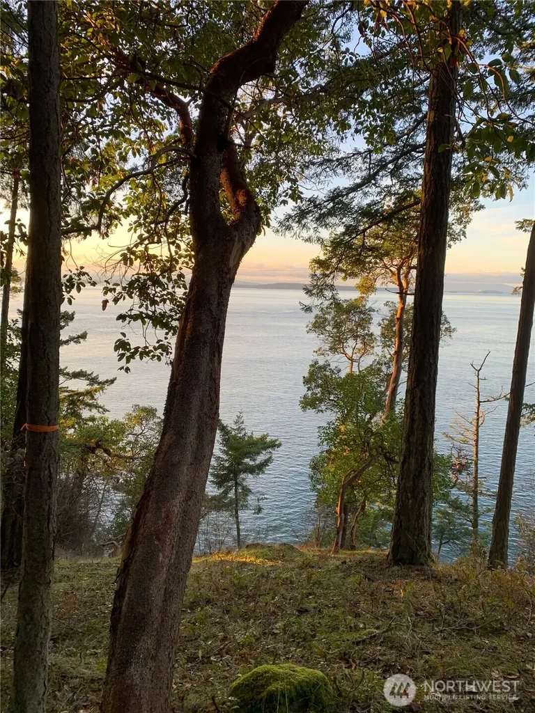0 Fern Place Friday Harbor WA 98250