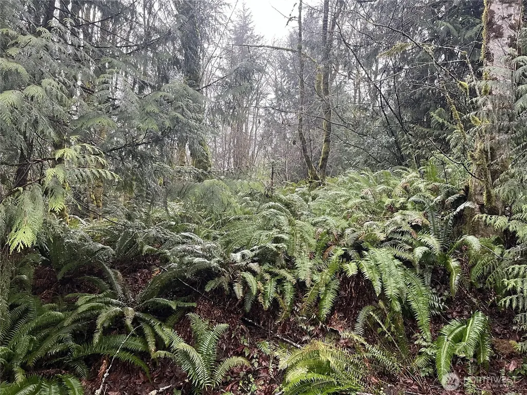 2601 Stonecrest Lane NW Olympia WA 98502