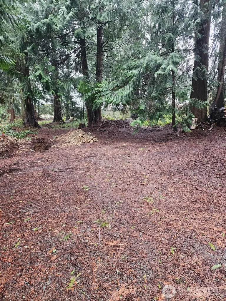10115 226th Avenue Ct E Buckley WA 98321